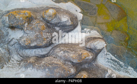 Das Meer Stacks in Byrum (byrum Raukar) auf Öland, Schweden direkt von oben gesehen. Stockfoto