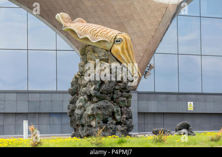 Russland, Wladiwostok, 26.05.2018. Skulptur von große Kalmare (Teuthida) in einem marine Amusement Park. Im Vergnügungspark von ozeanarium auf Russk platziert Stockfoto