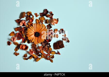 Zufällige Anordnung der getrockneten braunen Blumen, Kopieren, flach Stockfoto