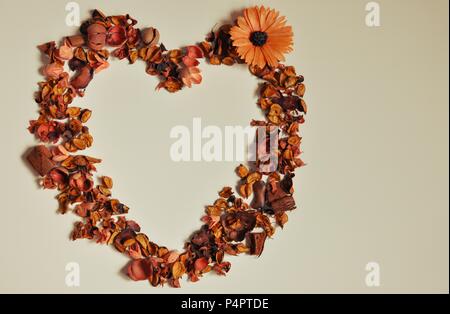 Zufällige Anordnung von Braun, herzförmigen Blumen, Kopie Raum in der Mitte, flach Stockfoto