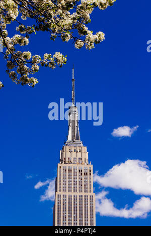 Frühjahr April 2015 in der Nähe von Empire State Building mit Baum, New York, United States Stockfoto