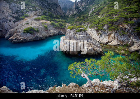 Calanque de Sugiton. Marseille, Frankreich. Stockfoto