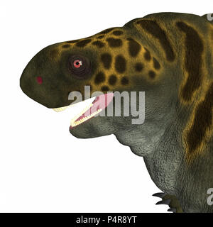 Cotylorhynchus war ein synapsid pflanzenfressende Reptil, in Nordamerika während der Permian Periode lebte. Stockfoto