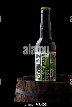 LONDON, UK - Juni 06, 2018: Flasche tot Pony Club Pale Ale, Bier aus der Brauerei Brewdog auf alten Holzfass auf schwarzem Hintergrund. Stockfoto