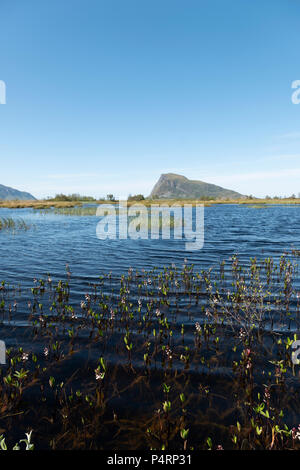 Tarn in der Nähe der Straße auf dem Weg nach Hov Hestegård, Lofoten, Norwegen. Stockfoto