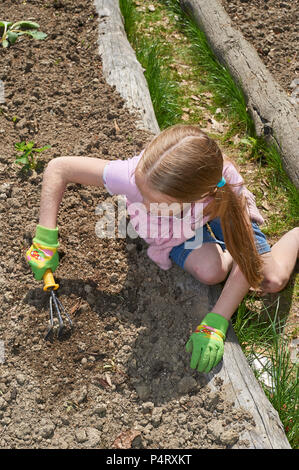 Garfield Gedächtniskirche freiwillige Pflanzen Kuh Garten bei Hiram Haus Camp-wheel Barrel/Tools Stockfoto