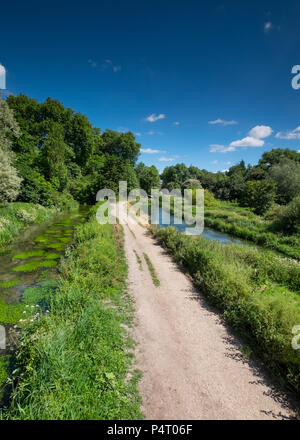 Winchester Wasser Wiesen, am Rande der Stadt Winchester, Hampshire, UK Stockfoto