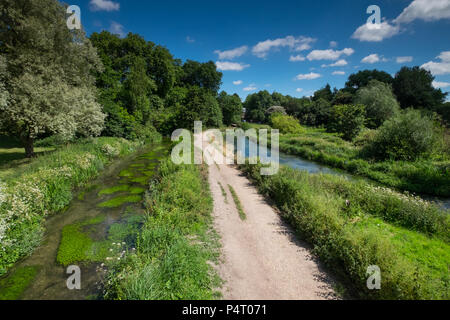 Winchester Wasser Wiesen, am Rande der Stadt Winchester, Hampshire, UK Stockfoto