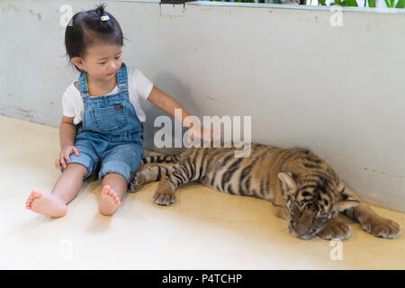 Asiatische Cute Baby und Baby Tiger im Park. Stockfoto