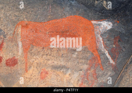 Buschmänner (San) rock Malerei eines eland Antilope, Südafrika Stockfoto