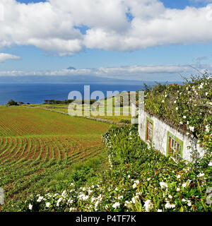 Blick von der Azoren Insel Sao Jorge, Pico, im Vordergrund ein Haus mit Blumen bewachsen, über Felder und Hügel geht der Blick auf die vulkanischen m Stockfoto