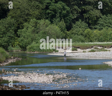 Angeln am River Wharfe Stockfoto