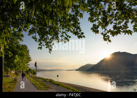 Visegrád (Plintenburg): Donau, Obere und Untere Schloss, Ansicht von Nagymaros in Ungarn, Pest, Donauknie (Dunakanyar) Stockfoto