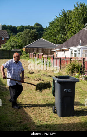 Alte Mann bis harken Gras nach der Rasen ist gemäht worden. Stockfoto