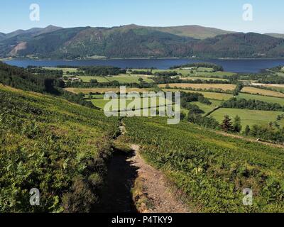 Um auf den obigen Pfad Ravenstone zum Grat Route auf Ullock Pike, Bassenthwaite Lake, Lake District National Park, Cumbria, Vereinigtes Königreich Stockfoto