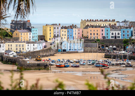 Bunte Häuser und Boote im Hafen von Tenby Pembrokeshire Wales Tenby Stockfoto