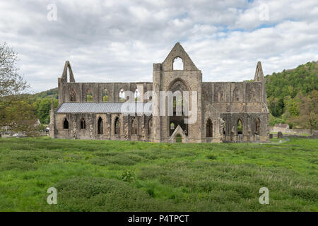 Die Ruinen des Zisterzienserklosters Tintern Abbey in Wales. Stockfoto