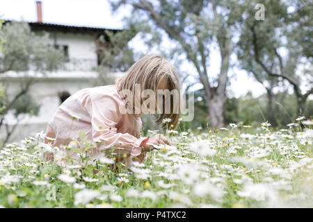 Kleines Mädchen Blumen pflücken auf Wiese Stockfoto