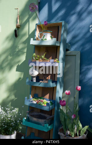 Self-made Regal Stockfoto