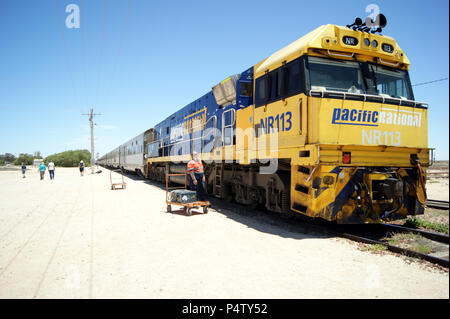 Der Indian Pacific hält an Cook Australien Stockfoto