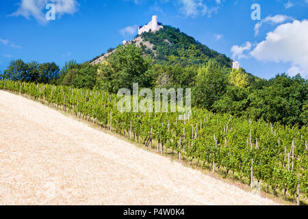 Zřícenina hradu Děvičky, vinice, LANDSCHAFTSSCHUTZGEBIETES Pálava, Jizni Morava, Ceska Republika/Ruinen von Devicky Burg und Weinberge, Palava Region, Südmähren, Cze Stockfoto