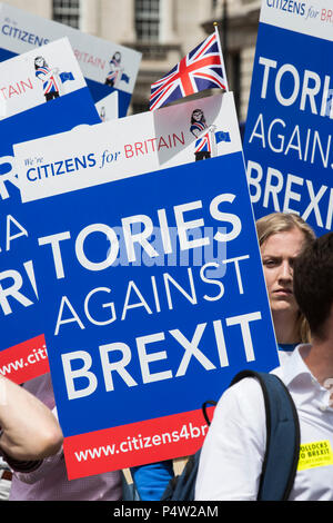 London, Großbritannien. 23. Juni 2018. Anti-Brexit März und Sammlung für einen Menschen in Central London. Tories gegen Brexit Poster. Stockfoto