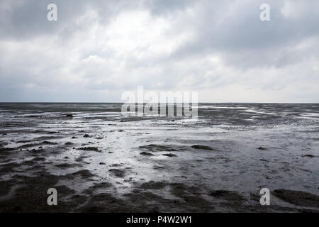 Hallig Hooge, Deutschland, Watt bei Ebbe an der Nordsee Stockfoto