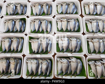 Fisch zum Verkauf an schwimmenden Markt Amphawa in Thailand Stockfoto