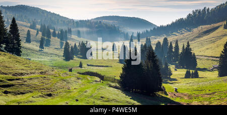 Panorama der Balileasa Tal der Apuseni Berge. Wunderschöne herbst Sonnenaufgang mit leuchtenden Nebel unter den Fichtenwald. Bihor Berge in der Ferne. b Stockfoto