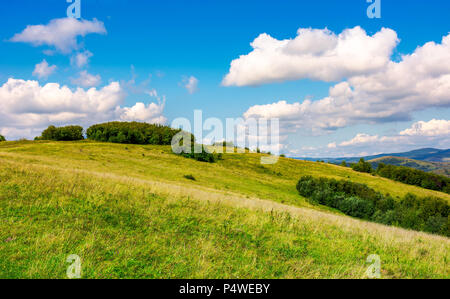 Schöne bergige Landschaft im Herbst. Wald auf einem grasbewachsenen Hügel unter dem schönen bewölkter Himmel. Ein wunderbarer Ort für Wanderung oder ein Picknick in Carpathi Stockfoto