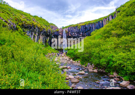 Svartifoss Wasserfall in Island Stockfoto