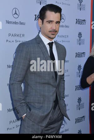 Colin Farrell nimmt an verschiedenen Auswirkungen von Creative Awards und 10 Direktoren zu beobachten Brunch von Mercedes-Benz auf der 25. jährlichen Palm Springs International Film Festival präsentiert bei Parker Palm SpringsColin Farrell 112 - - - - - - - - - - - - - Red Carpet Event, Vertikal, USA, Filmindustrie, Prominente, Fotografie, Bestof, Kunst, Kultur und Unterhaltung, Topix Prominente Fashion/Vertikal, Besten, Event in Hollywood Leben - Kalifornien, Roter Teppich und backstage, USA, Film, Stars, Film Stars, TV Stars, Musik, Promis, Fotografie, Bestof, Kunst, Kultur und Unterhaltung, Stockfoto