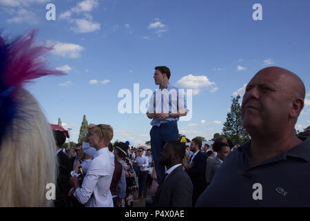 Rowdy Massen Beifall auf den Pferden an der Seite der Rennstrecke während Royal Ascot Schale Stockfoto