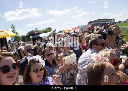 Rowdy Massen Beifall auf den Pferden an der Seite der Rennstrecke während Royal Ascot Schale Stockfoto