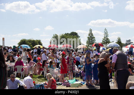 Menschenmassen stehen gerade die Rassen als Royal Ascot Windsor in Gehäuse Stockfoto