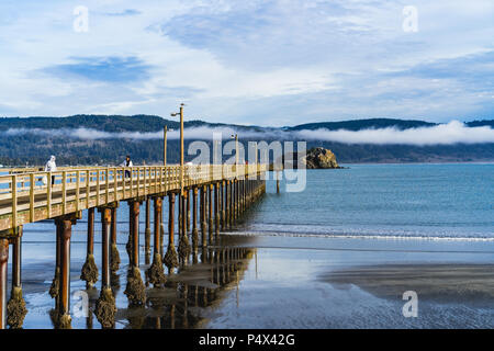 Lange Dock heraus in den Ozean mit einem Felsen und Berge mit niedrigen Wolken im Hintergrund führende Stockfoto