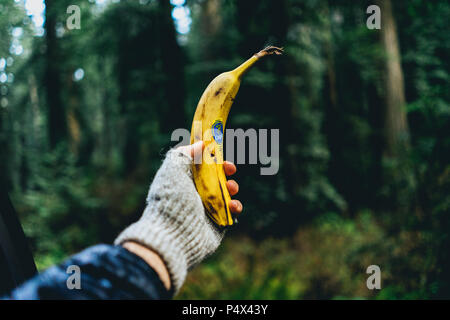 Halten Sie eine Banane aus einem Auto Fenster in einem Wald Stockfoto