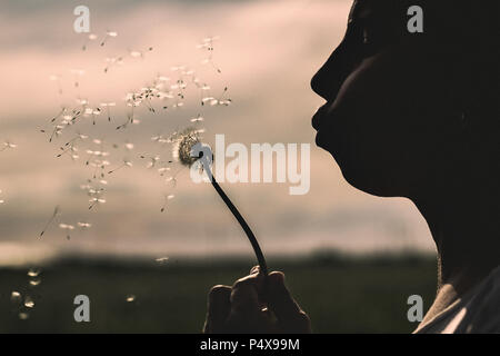 Mädchen bläst auf weißem Löwenzahn im Wald. Silhouette anzeigen Stockfoto