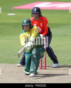 Südafrikas Lizelle Lee batting während des T20 Tri Reihe entspricht in der Grafschaft. Stockfoto