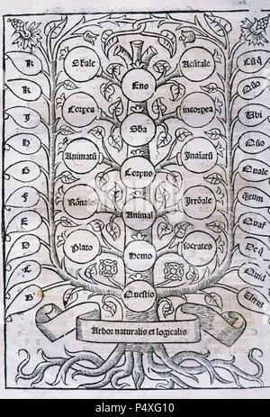 Ramon Llull (1232-1315). Mallorquinische Schriftsteller und Philosoph, logiker und ein Franziskaner tertiär. Er schrieb die erste große Arbeit der katalanischen Literatur. Bild von De Nova Logica. Drucken: Valencia, von Georgius Costilla, 1512. Bischöfliche Bibliothek. Barcelona. Spanien. Stockfoto