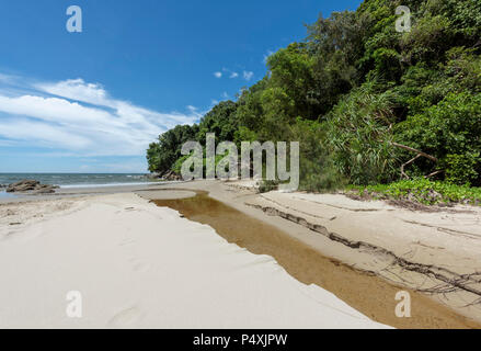Die Borneo rainforest reicht bis in das Südchinesische Meer bei Kota Kinabalu, Borneo, Malaysia Stockfoto
