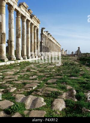 Apameia oder Apameia (Afamia). Kolonnade im Cardo Maximus. Syrien. Stockfoto