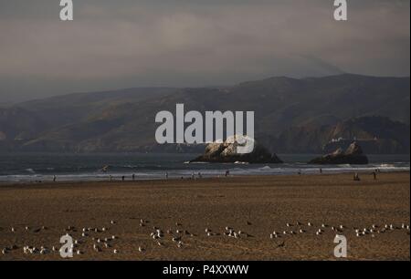 ESTADOS UNIDOS. SAN FRANCISCO. Vista de la playa de Ocean Beach. Estado de Kalifornien. Stockfoto