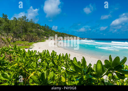 Petite Anse, La Digue, Seychellen - Tropischen und Paradise Beach Stockfoto