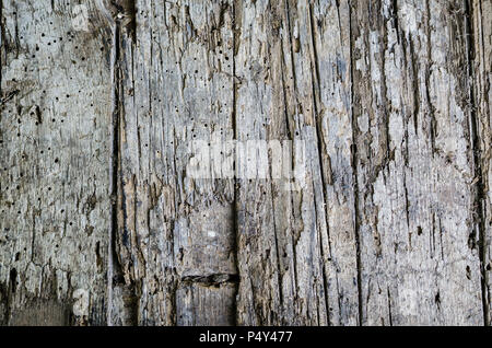Holz Textur für Hintergrund. Vintage Hintergrund von einer hölzernen Vertikale schäbig Plank. Graues Holz Textur. Hintergrund alte Platten. Kopieren Sie Platz. Stockfoto