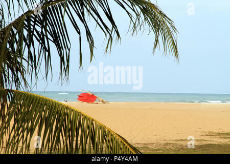 Strand, São Miguel do Gostoso, Rio Gande Norte, Brasilien tun Stockfoto