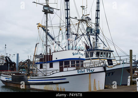 WESTPORT, WASHINGTON - Juni 21, 2018: ein Paar der kommerziellen Fischerboote im Hafen von Westport Stockfoto