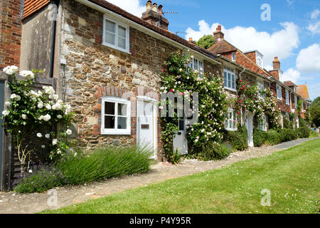 Pretty rose überdachte Hütten im malerischen Dorf Winchelsea, East Sussex, Großbritannien Stockfoto