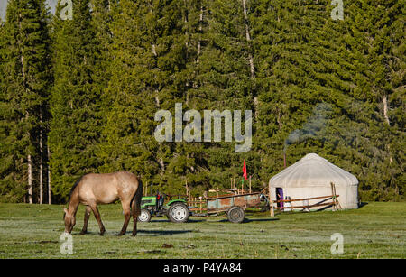 Haus auf der Strecke; Jurten in Kanas See National Park, Xinjiang, China Stockfoto