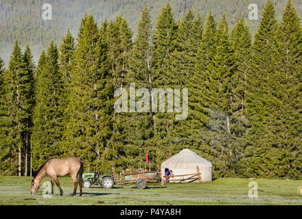 Haus auf der Strecke; Jurten in Kanas See National Park, Xinjiang, China Stockfoto